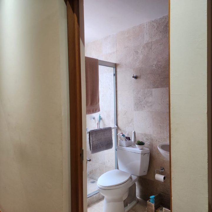 25ae11d1-7cb7-4d14-9e40-a9bf3bd37299