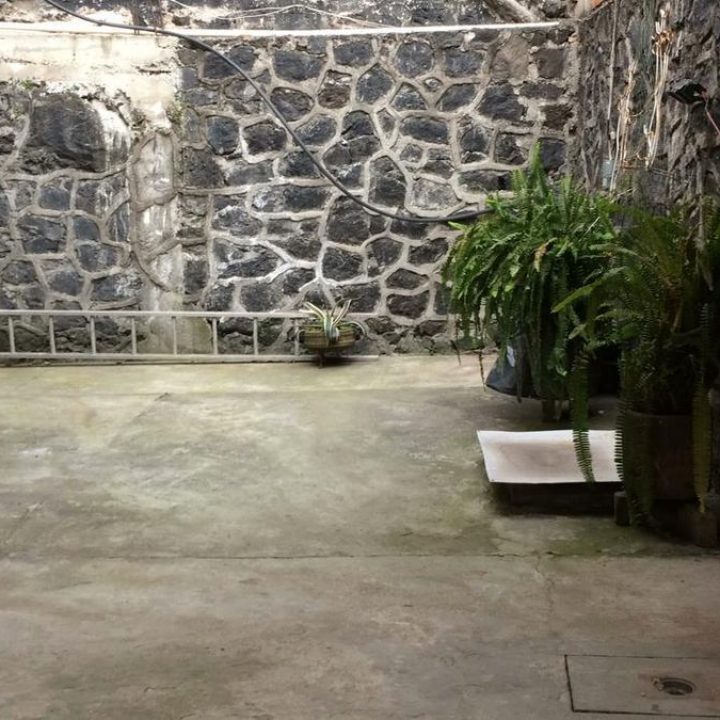 629f3e02-e445-4014-9270-e4263ff49571