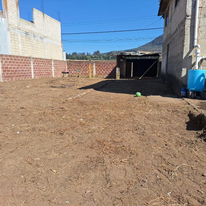 e38723ba-36d5-453a-ae6d-bc2428d3de6f